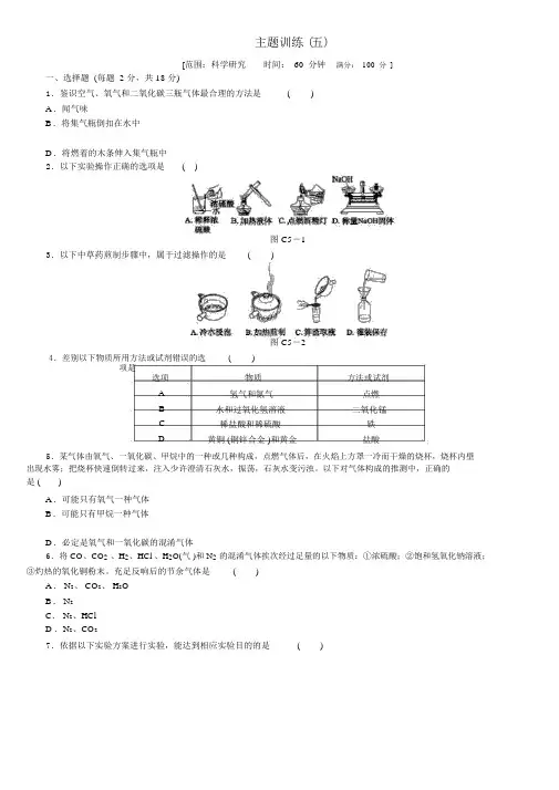 人教版中考化学基础复习主题训练五科学探究练习
