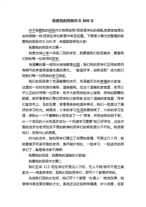 我爱我的班级作文600字