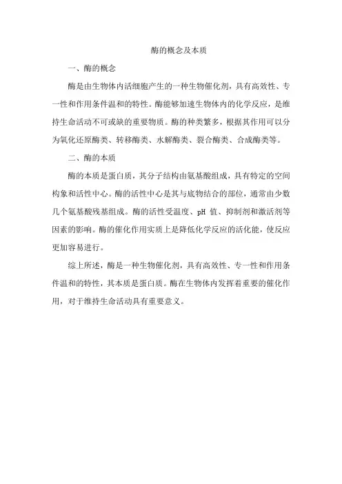 酶的概念及本质