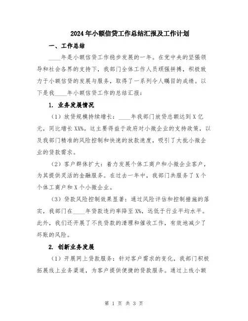 2024年小额信贷工作总结汇报及工作计划