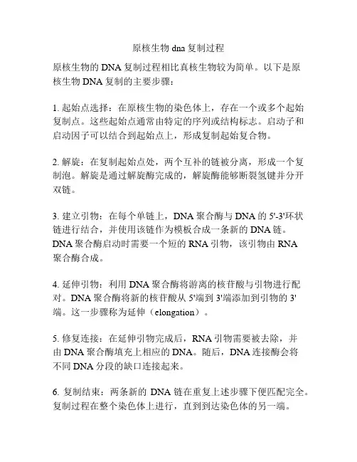 原核生物dna复制过程