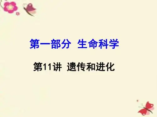 中考科学一轮复习第一部分生命科学第11讲遗传和进化课