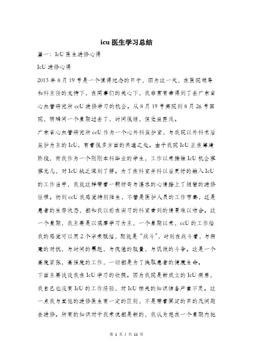 icu医生学习总结.doc