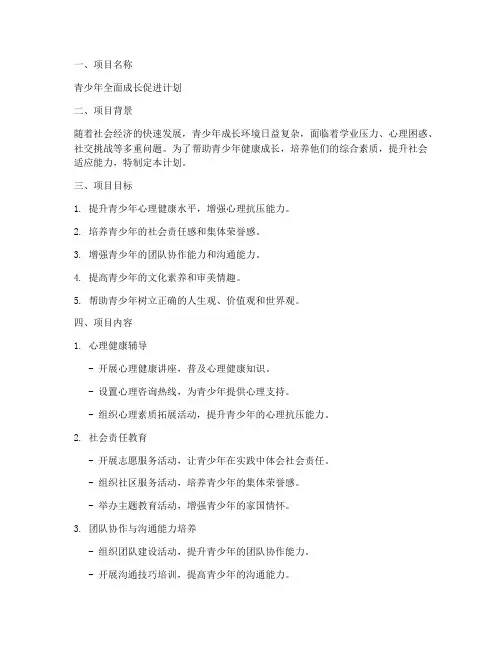 青少年成长项目计划书模板
