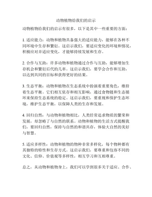 动物植物给我们的启示