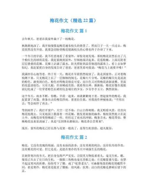 梅花作文(精选22篇)