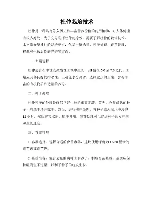 杜仲栽培技术