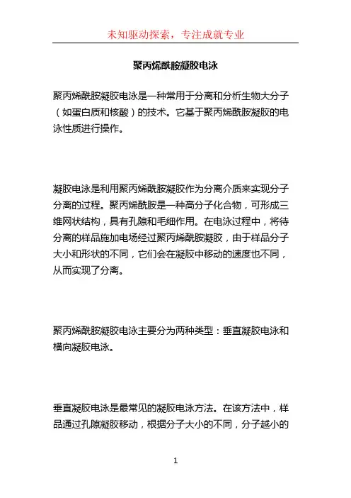 聚丙烯酰胺凝胶电泳