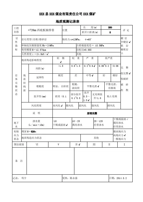 2019年度地质观测记录表