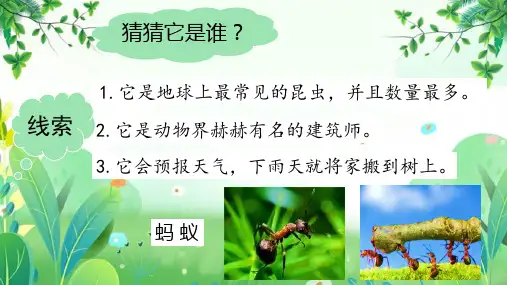 一年级下册音乐小蚂蚁ppt课件