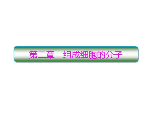 高中生物新人教版必修1细胞中的元素和化合物课件(共50张)