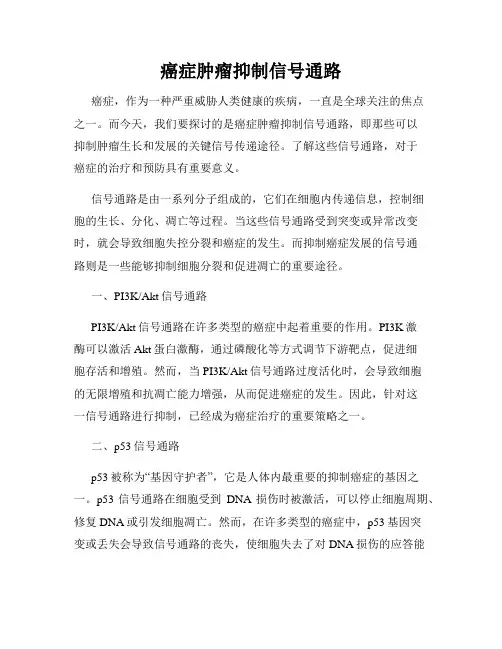 癌症肿瘤抑制信号通路