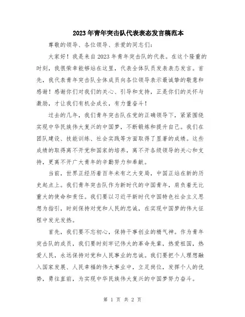 2023年青年突击队代表表态发言稿范本