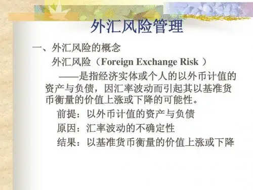 第七讲外汇风险管理
