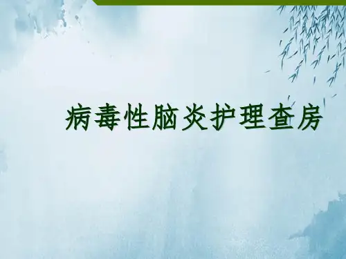 病毒性脑炎护理查房