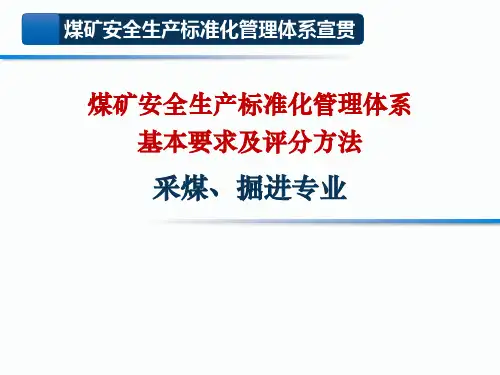 煤矿安全生产标准化管理体系基本要求及评分方法采煤、掘进专业