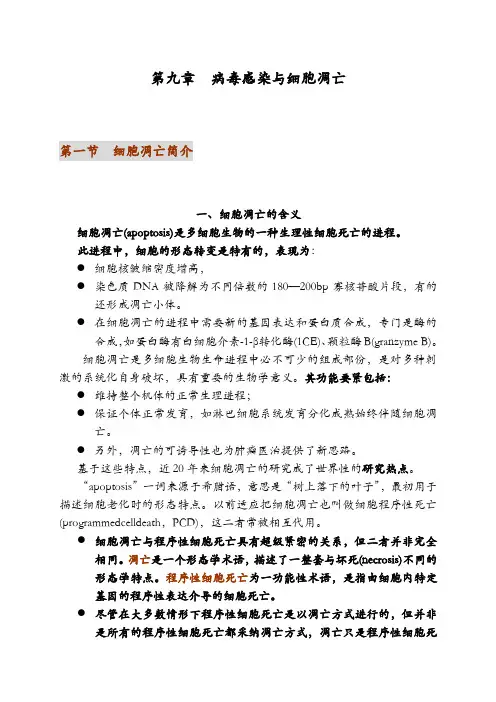 病毒学第九章病毒感染与细胞凋亡