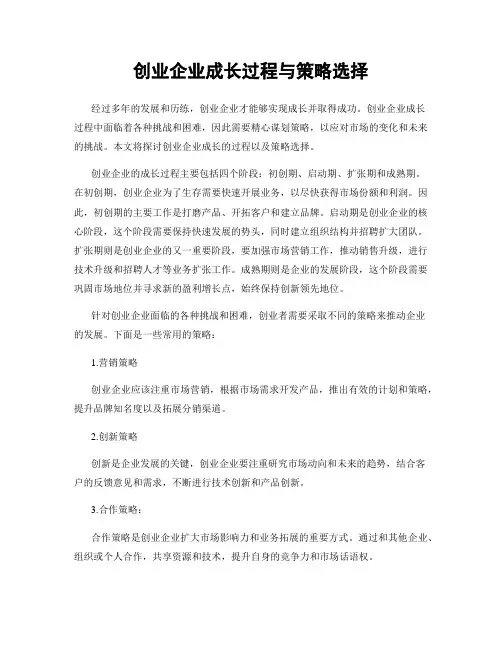 创业企业成长过程与策略选择