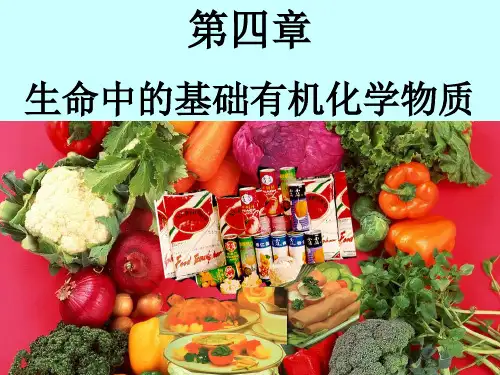 人教化学选修5第四章第一节 油脂第一课时(共20张PPT)