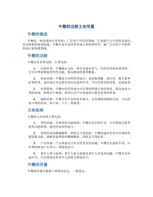 牛鞭的功能主治用量