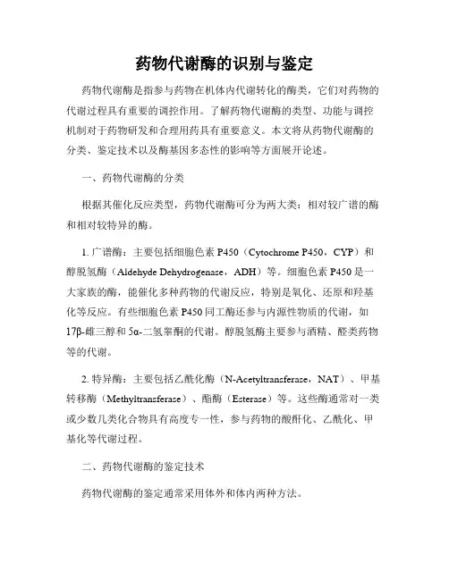 药物代谢酶的识别与鉴定