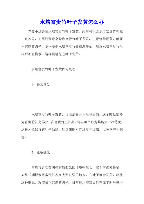 水培富贵竹叶子发黄怎么办