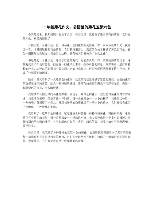 一年级菊花作文：公园里的菊花五颜六色