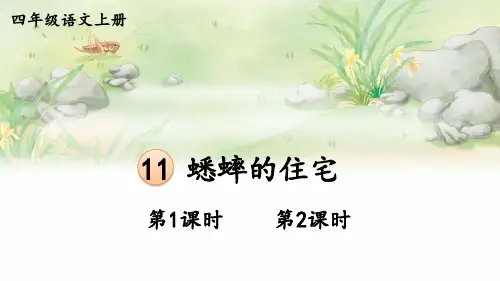 (最新)24年秋统编四年级语文上册11 蟋蟀的住宅【精品课件】