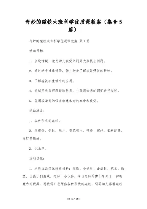 神奇的磁铁大班科学优质课教案(集合5篇)