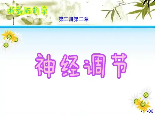 浙教版八年级科学上第三章第三节《神经调节》第一课时教学课件共18张PPT