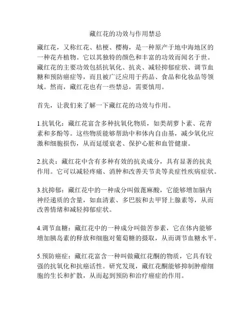 藏红花的功效与作用禁忌