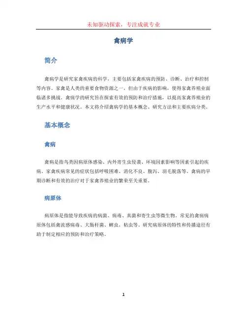 禽病学文档