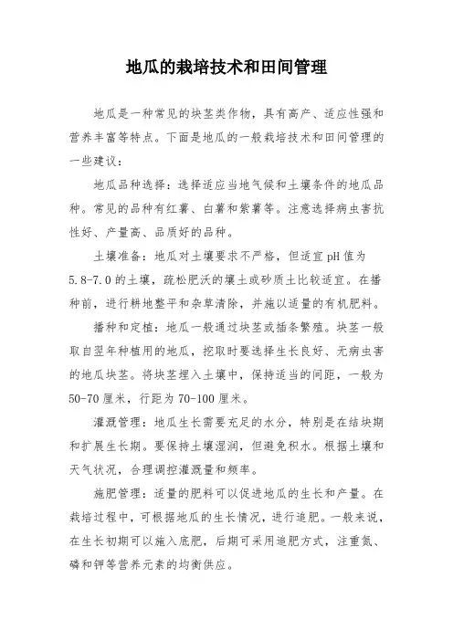 地瓜的栽培技术和田间管理