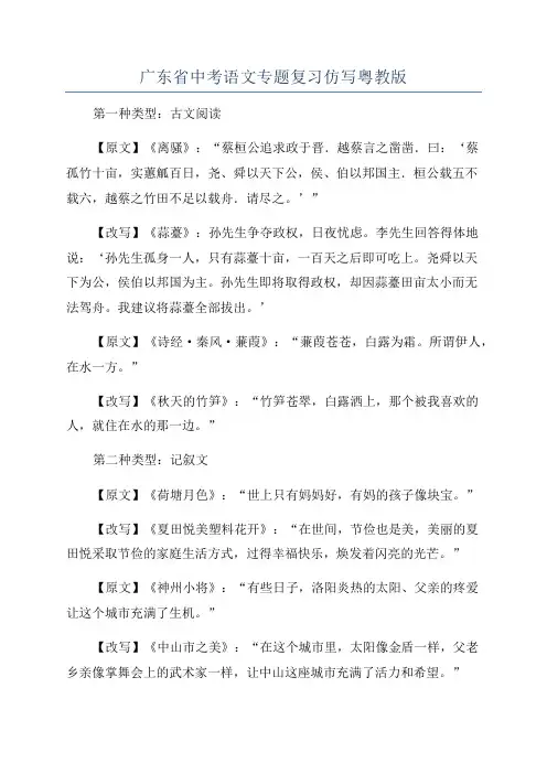 广东省中考语文专题复习仿写粤教版