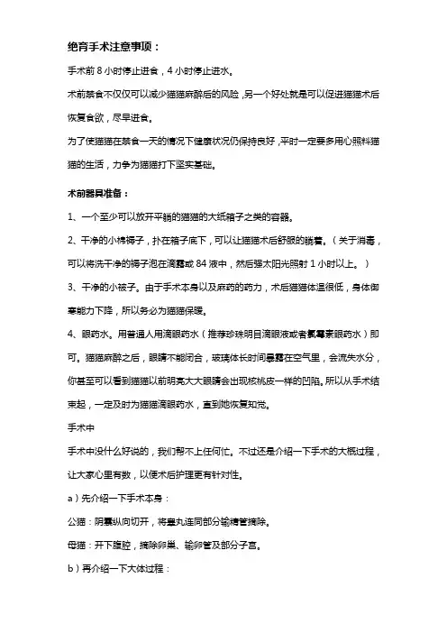 猫咪绝育知识