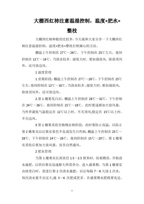 大棚西红柿注意温湿控制,温度+肥水+整枝