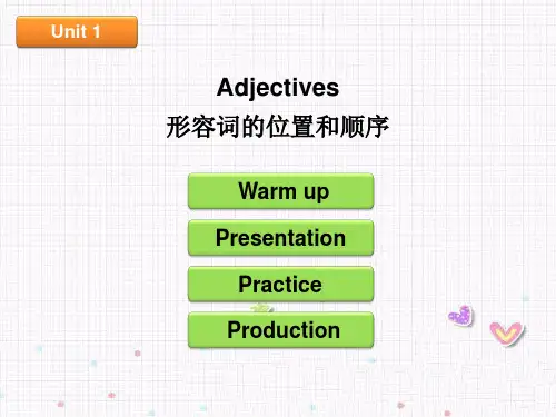 小学英语语法课件-形容词的位置和顺序 PPT课件 全国通用
