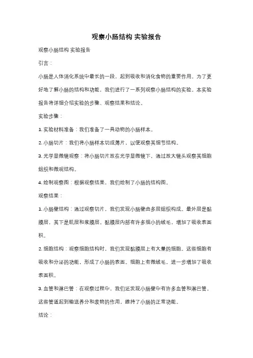 观察小肠结构 实验报告