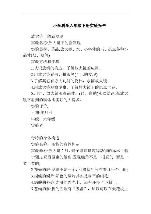 小学科学六年级下册实验报告