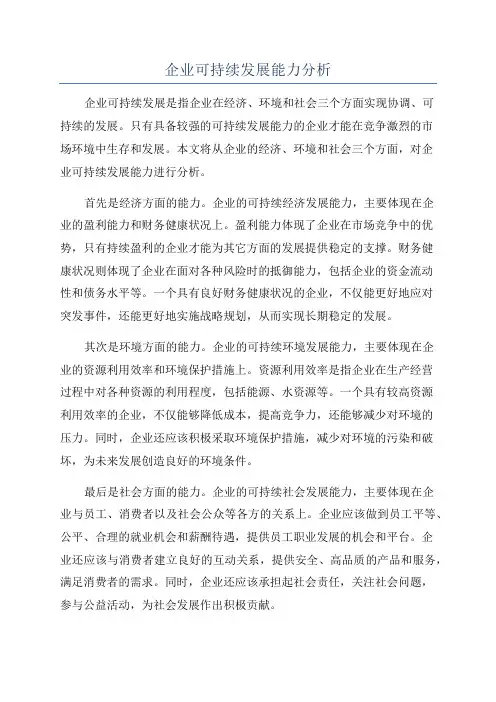 企业可持续发展能力分析