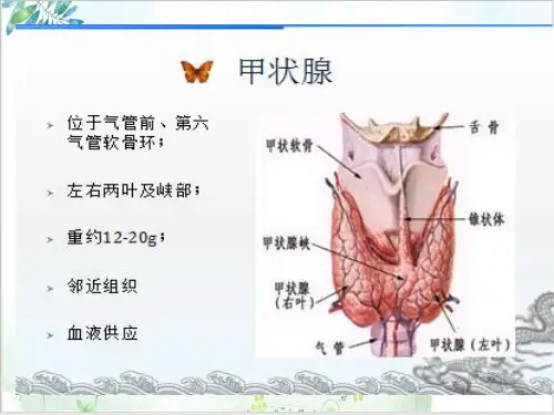 甲亢药物治疗课件ppt