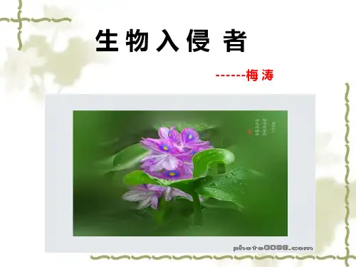 人教版语文八年级上册第十九课生物入侵者