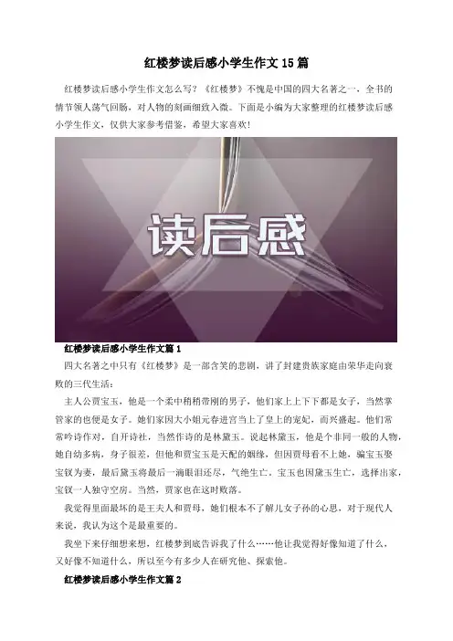 红楼梦读后感小学生作文15篇