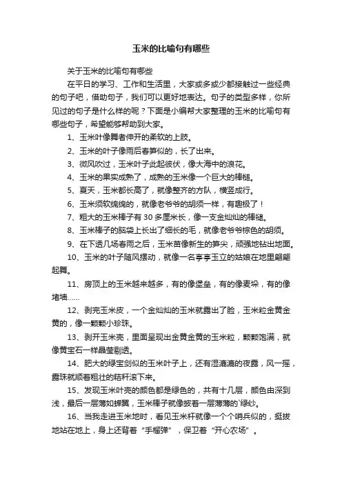 关于玉米的比喻句有哪些