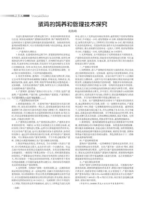 蛋鸡的饲养和管理技术探究