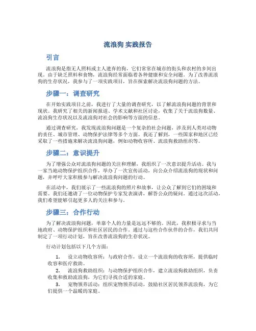流浪狗 实践报告