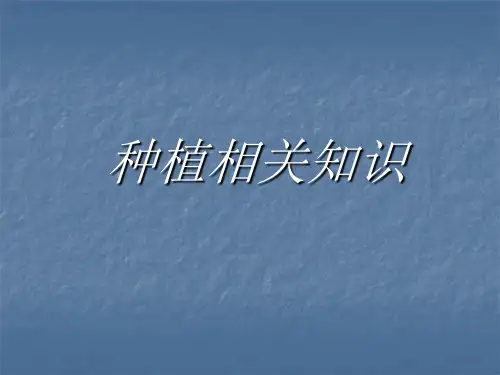 关于种植系统ppt课件
