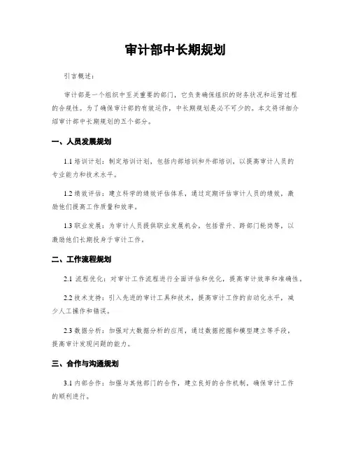 审计部中长期规划