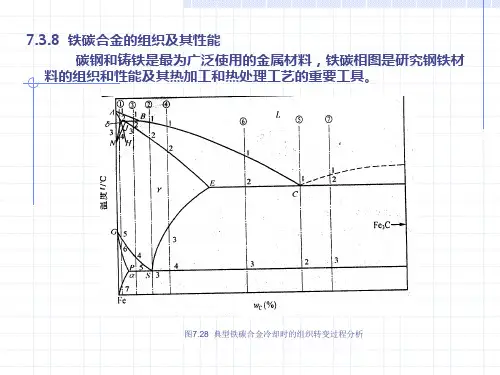 材料科学基础第七章  中
