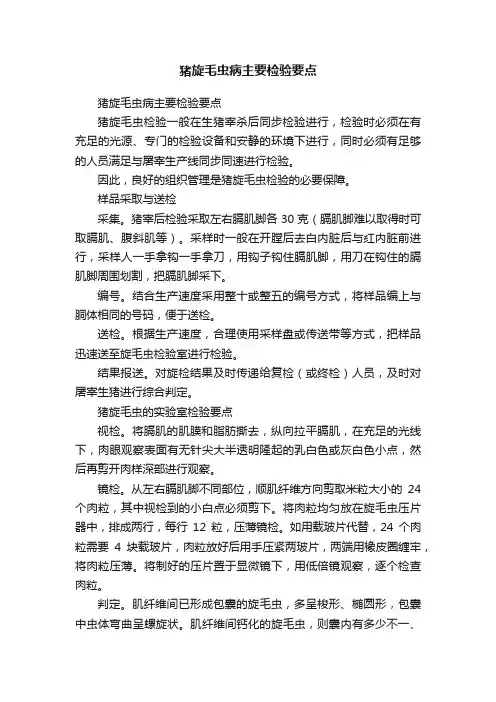 猪旋毛虫病主要检验要点